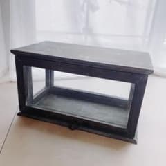 [Final Price] Antique Cabinet Showcase