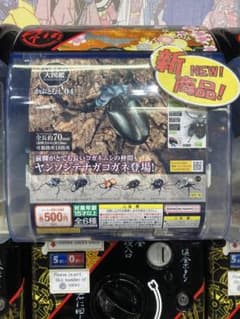 いきもの大図鑑　かぶとむ04 ゴライアスクワドリマキュラトゥス＆カブトムシのサムネイル