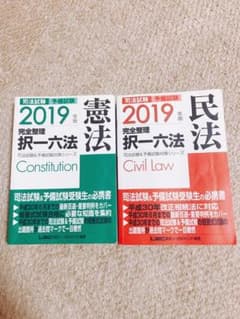 司法試験&予備試験 完全整理択一六法 2019年版【民法・憲法セット】のサムネイル
