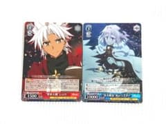 바이스 fate Apocrypha 시로우 라이더 RR