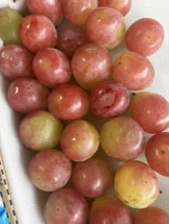 山梨県限定品種サンシャインレッド大粒1キロ⚪︎シャインおまけつきのサムネイル