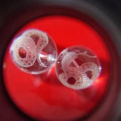 水晶彫り白蛇★12mm玉★2個粒売り★白蛇彫刻水晶★手彫り★金運★財運のサムネイル