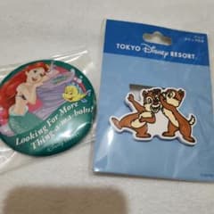 東京ディズニーリゾート ピンバッジ 2種セットのサムネイル