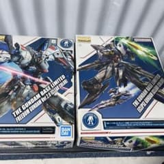 MGガンダムベース限定エクリプスガンダム、フリーダムガンダム