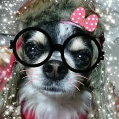 サイズ3のサムネイル