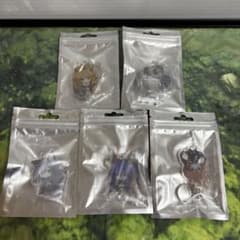 アークナイツ 明日方舟 アクリルキーホルダー 全5種 未開封 紅しゃけ