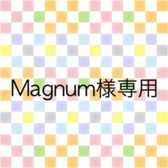 Magnum様 専用ですのサムネイル