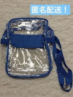 未使用 BTS 釜山 ソンムル アリラン KEEP SWIMMINGクリアバッグ - メルカリ