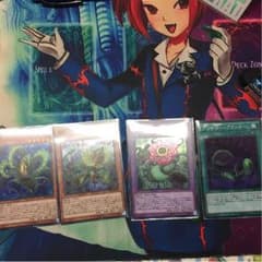 捕食植物デッキパーツ サンデウキンジーのサムネイル