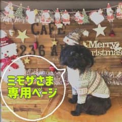 ミモザさま専用ページです   ハンター ハーネスのサムネイル