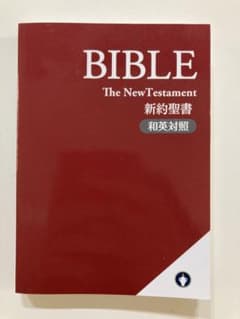 新約聖書　和訳英訳付きのサムネイル