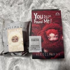 SKULLPANDA You Found Me! 【sandman】