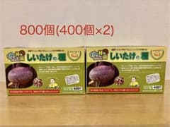 森のきのこ倶楽部 しいたけ種駒 森290号にく丸 (800駒)400個×2 - メルカリ