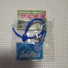 マルチチャーム FC水戸ホーリーホックのサムネイル