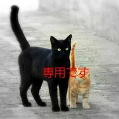 専用です。HH ヘンリーハンセンのアウターです。のサムネイル