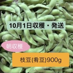 枝豆(肴豆)900gのサムネイル
