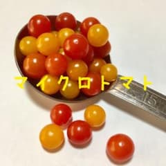 マイクロトマト 種 (赤色 ・黄色)のサムネイル