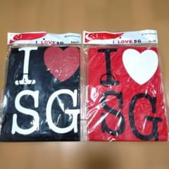 シンガポール Tシャツ Sサイズ Lサイズ 2枚セット お土産のサムネイル