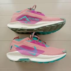 ナイキ　ペガサス　トレイル　5 GTX　ゴアテックス　26.5cmのサムネイル