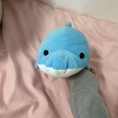 イルカ*ぬいぐるみ*のサムネイル