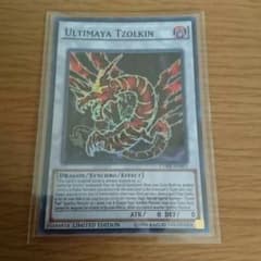 アルティマヤ・ツィオルキンのサムネイル