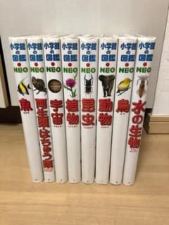 【８冊セット!】小学館の図鑑 NEOのサムネイル