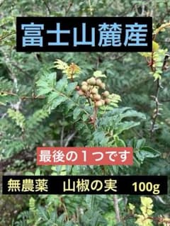 山梨県　富士山麓産　無農薬　山椒の実　100gのサムネイル