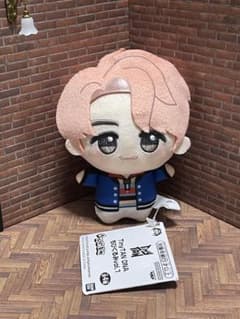 BTS TinyTAN DNA 치비구루미 남준 rm