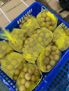 エア便新入荷☆常温発送 新鮮龍眼リュウガン*ロンガン 即購入OKです！のサムネイル