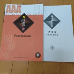 AAA+ 図形の極 1 Professional 図形の極 AAA+ プロフェッショナル 6級 - メルカリ