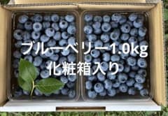 ブルーベリー1.0kg クール便 化粧箱入り - メルカリ