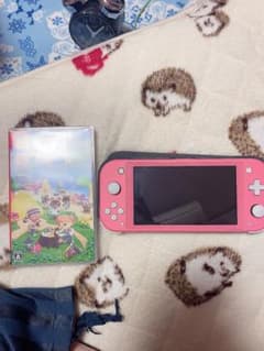 スイッチ ライト あつまれどうぶつの森セットのサムネイル