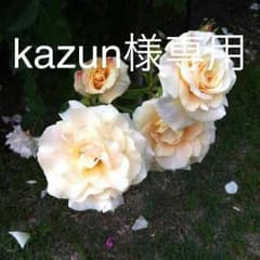 ファイテン白Tシャツのサムネイル
