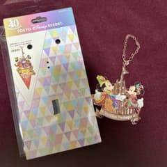 東京ディズニーリゾート　40周年　バッグチャーム　ガーランド　ハガキ　まとめ売り 東京ディズニーリゾート40周年 バケパ限定 バッグチャーム ガーランド
