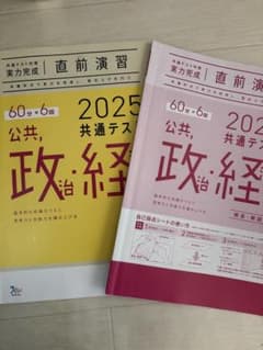 2025 公共政治経済 共通テスト直前演習のサムネイル