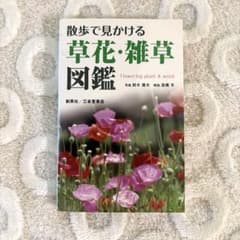 散歩で見かける 草花・雑草図鑑のサムネイル