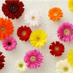 U・x・Uさん専用ページのサムネイル