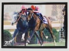 競馬 メジロラモーヌ パネル 史上唯一
