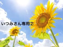 いつみさん専用②のサムネイル