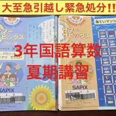 SAPIXサピックス1年生国語と算数のテキストフルセット(入学準備、夏期講習) ㉑な サピックス SAPIX 3年 国語 算数 夏期講習 - メルカリ