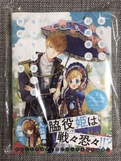 ある日、お姫様になってしまった件について 3のサムネイル