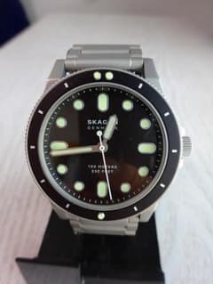 SKAGEN/スカーゲン ダイバーズウォッチ FISK SKW6666 51Zyz9J8URL._AC_UY350_.jpg