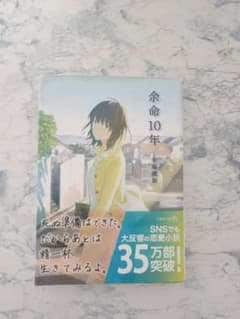 【値下げ交渉⭕️】余命10年 小坂流加 文芸社文庫のサムネイル