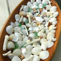 貝殻☆珊瑚☆シーグラスセット　ミニサイズのサムネイル