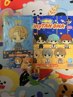 이치 반 쿠지 TinyTAN DNA RM 4 점 세트