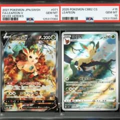 【PSA10連番】リーフィアV SA リーフィア　中国　AR PSA10連番】リーフィアV SA リーフィア 中国 AR - メルカリ