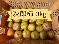 次郎柿　3kgのサムネイル