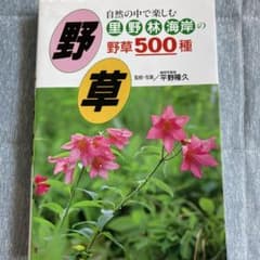 自然の中で楽しむ、野草５００種のサムネイル