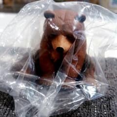 ひまなの寝　クマのサムネイル