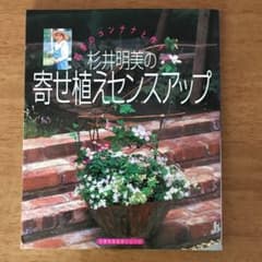 杉井明美の寄せ植えセンスアップのサムネイル